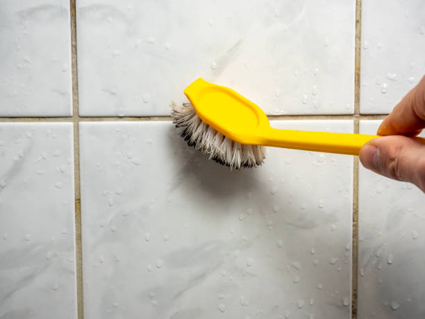 Best Affordable Mold Removal  in Lake Mohegan, NY