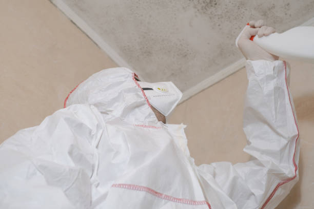 Best Best Mold Removal Companies  in Lake Mohegan, NY